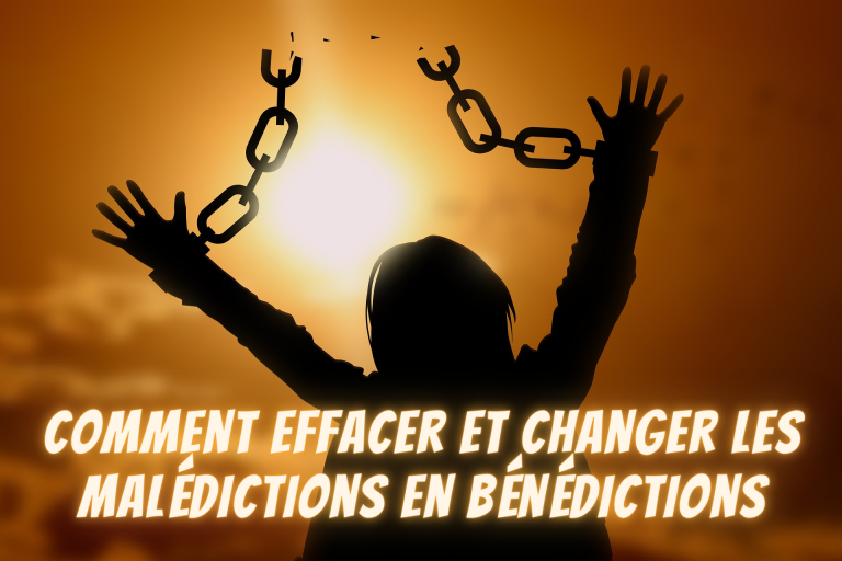 Briser les Malédictions Entêtées #11